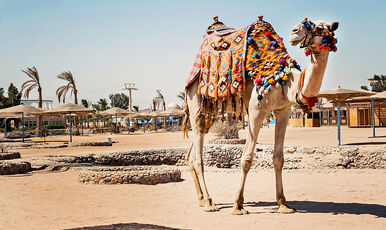 AJET ILE SHARM EL SHEIKH TURU(4 GECE 6 GUN)