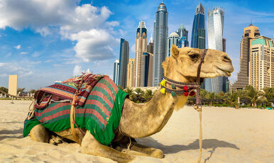 VİZE DAHİL DUBAİ TURU 4 GECE 