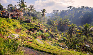 EKSTRA TURLAR DAHİL ELEGANT BALİ TURU 5 GECE