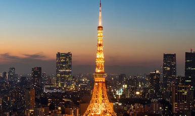 Elegant Sakura ile Japonya – Özel Bahar Turu Ekstra Turlar Dahil