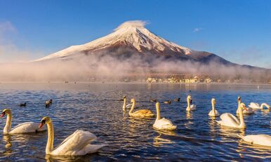 JAPONYA - HOKKAIDO (7 GECE 8 GÜNDÜZ) 
