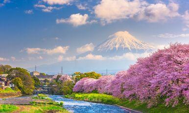JAPONYA - HOKKAIDO (7 GECE 8 GÜNDÜZ) 
