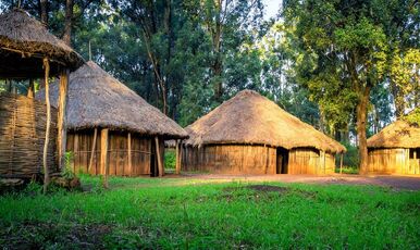 KENYA BÜYÜK GÖÇ TURU EKSTRA TURLAR DAHİL