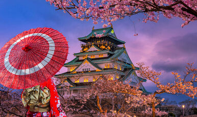 Elegant Sakura ile Japonya – Özel Bahar Turu Ekstra Turlar Dahil